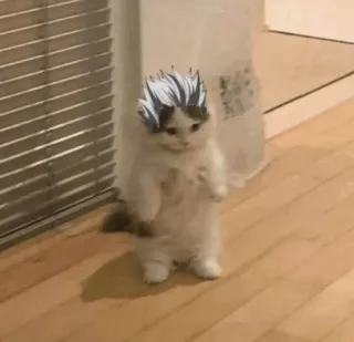 Standing Cat Anime @Icarusfalls telegram stickers