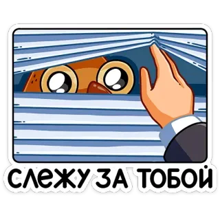 👀 слежу за тобой mirando, observando, ojos, persianas, espiando telegram sticker