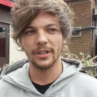 😑 Louis Tomlinson Louis Tomlinson, One Direction, chanteur, célébrité, portrait, musique, personne telegram sticker