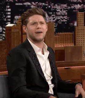 🎸 Niall Horan Niall Horan, cantor, celebridade, entrevista, late night show telegram sticker