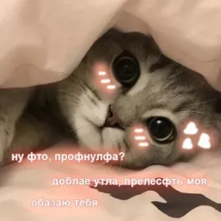 🏃‍♀ ну фто, профнулфа? доблае утла, прелесфть моя обазаю тебя telegram sticker