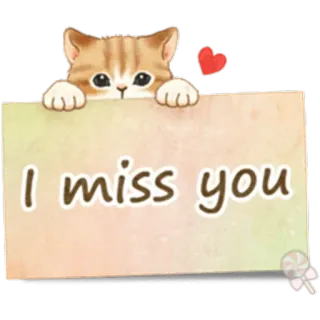 🐱 I miss you gato, te echo de menos, amor, lindo, gatito, adorable, saludo whatsapp sticker