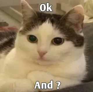 👀 Ok
And ? gato, meme, ok, y, pregunta, mascota whatsapp sticker
