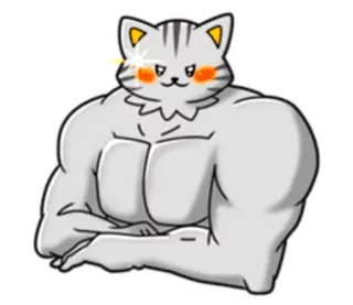 😎 猫, 筋肉質, マッチョ, 動物, ミーム, 面白い telegram sticker