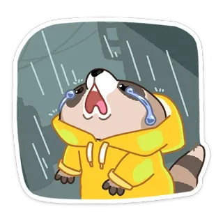 😔 rakun, menangis, sedih, hujan, hewan, stiker whatsapp sticker