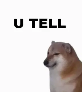 😌 U TELL 도지, 개, 밈, 웃긴, utel telegram sticker