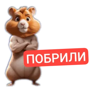 🧸 ПОБРИЛИ telegram sticker