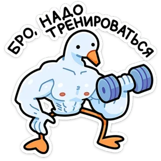 💪 Бро. Надо тренироваться goose, weightlifting, exercise, fitness, cartoon, animal, gym, motivation telegram sticker