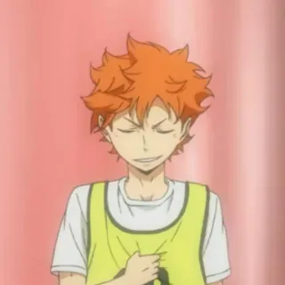🌱 Hinata Shoyo Haikyuu!! Anime, Haikyuu, Hinata Shoyo, Vôlei, Mangá telegram sticker