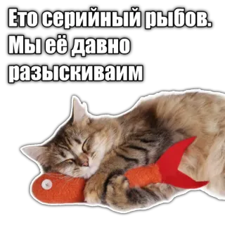 🐠 Это серийный рыбов.
Мы её давно
разыскиваем cat, fish, sleeping, russian, serial, wanted, cartoon telegram sticker