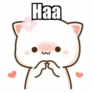 ⚜ Haa mignon, chat, fleur, rose, dessin animé, joyeux, chibi whatsapp sticker
