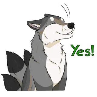 👍 Yes! lobo, sí, animal, pegatina whatsapp sticker