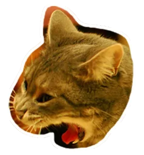 🐱 gato, animal, mascota, felino, pegatina, bostezo telegram sticker