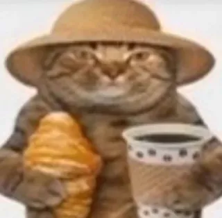 🙂 chat, chapeau, café, glace, animal telegram sticker