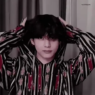 🥓 V VANTEGITS person, celebrity, kpop, singer, asian, male, v, bts whatsapp sticker