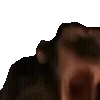 🙉