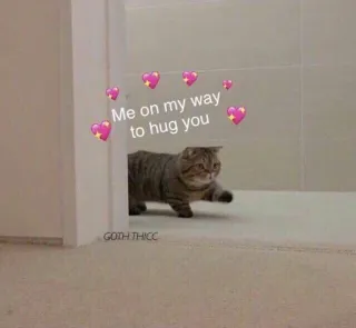 💖 Me on my way to hug you cat, hug, cute, hearts, meme, animal telegram sticker
