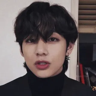 🐯 V kpop, penyanyi, bts, idola, artis telegram sticker