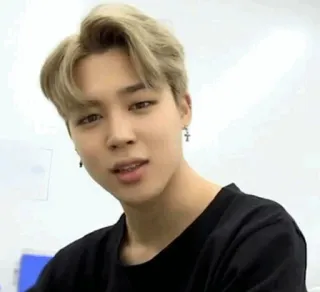 ✨ Jimin kpop, idol, jimin, bts, penyanyi, selebriti, korea whatsapp sticker