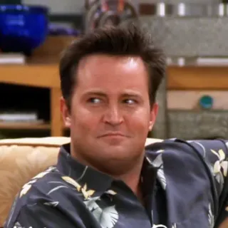 😏 Chandler Bing Friends chandler, bing, friends, matthew perry, série tv, années 90, sitcom, drôle telegram sticker