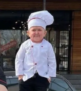 🧑‍🍳 Hasbulla Magomedov chef, cucina, ritratto, sorriso telegram sticker