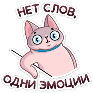 😶 НЕТ СЛОВ, ОДНИ ЭМОЦИИ gatto, sphynx, emozioni, testo, russo, adesivo telegram sticker