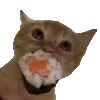 🍣