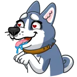🤤 개, 허스키, 동물, 만화, 표정, 사랑, 귀여운 telegram sticker