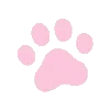 🐾