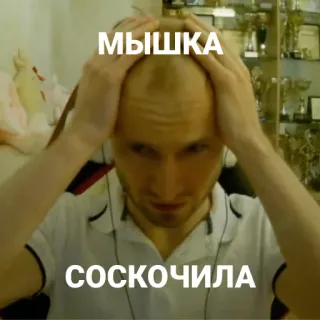 🐭 МЫШКА
СОСКОЧИЛА telegram sticker