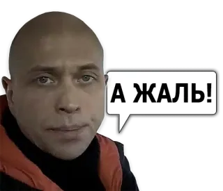 😔 А ЖАЛЬ! homme, chauve, bulle de dialogue, russe, personne, citation telegram sticker