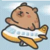 ✈️