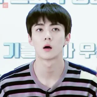 🐣 telegram sticker