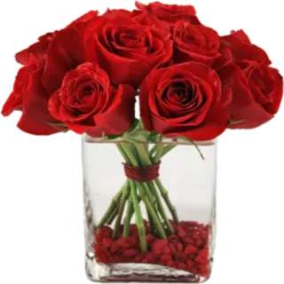 🌸 hoa, hoa hồng, đỏ, bó hoa, lãng mạn, Ngày Valentine, quà tặng telegram sticker