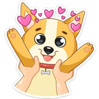 🥎 cão, corgi, animal, animal de estimação, fofo, amor, corações, desenho animado telegram sticker