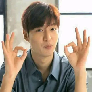Minhoo whatsapp stickers