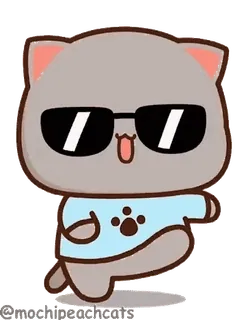 🚶 @mochibeachcats gato, gafas de sol, dibujos animados, lindo, gatos mochi playa telegram sticker