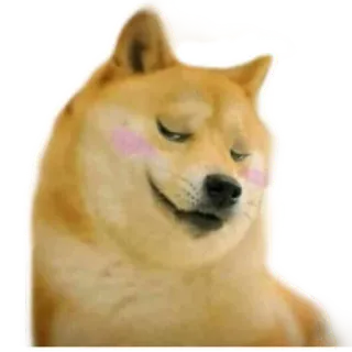 ☺️ Doge perro, meme, doge, shiba inu, lindo, animal telegram sticker
