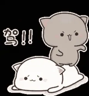 👊 驾!! แมว, สติกเกอร์, น่ารัก, สัตว์, การ์ตูน, ภาพประกอบ whatsapp sticker