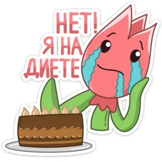 🎂 НЕТ! Я НА ДИЕТЕ flower, cake, diet, sad, crying, food, dessert telegram sticker