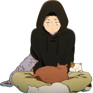 😯 anime, gatos, hombre, sudadera con capucha, lindo whatsapp sticker