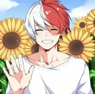 👋 Shoto Todoroki My Hero Academia Anime, Bunga matahari, Lucu, Anak laki-laki telegram sticker