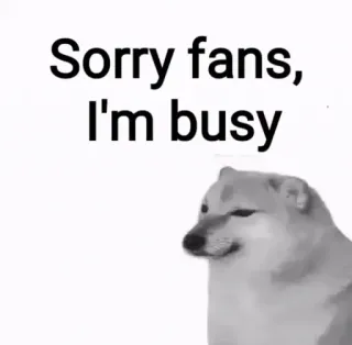 🙂 Cheems Doge Sorry fans, I'm busy cheems, doge, shiba inu, meme, busy, funny dog telegram sticker