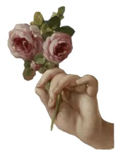 🌷 dito medio, gesto della mano, rose, fiori, bouquet, opera d'arte whatsapp sticker