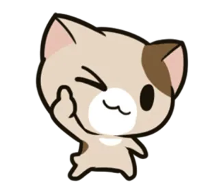 😉 แมว, นิ้วกลาง, หยาบคาย, น่ารัก, สติกเกอร์ whatsapp sticker