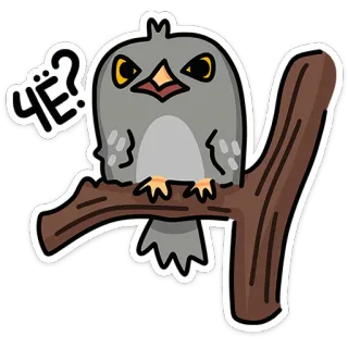 🦉 ЧЁ? chim, nhãn dán, động vật, cành cây, cú mèo, tức giận, câu hỏi telegram sticker