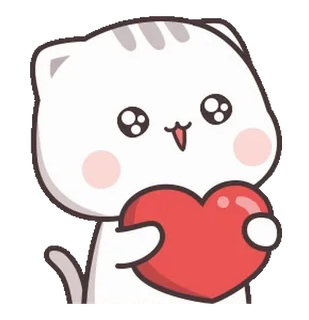 ❤️ gato, fofo, amor, coração, animal, kawaii telegram sticker