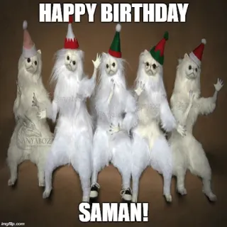 🎸 HAPPY BIRTHDAY
SAMAN! cumpleaños, gatos, celebración whatsapp sticker