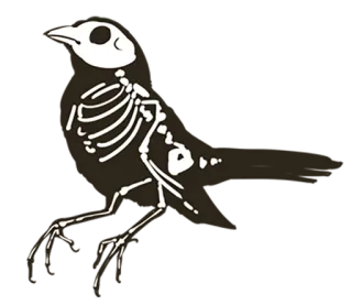 💀 птица, скелет, животное, анатомия, готика whatsapp sticker