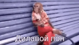 💫 Дилавой пон monyet, hewan, duduk, bangku telegram sticker
